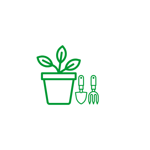 Plants