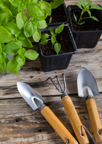 Plant Care